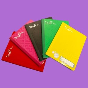 LIBRETA COSIDA PROFESIONAL INDRA, 1 PIEZA DE 100 HOJAS, CUADROS CHICOS, SE ENVÍA COLOR AL AZAR