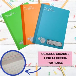LIBRETA COSIDA PROFESIONAL INDRA, 1 PIEZA DE 100 HOJAS, CUADROS GRANDES, SE ENVIA COLOR AR AZAR