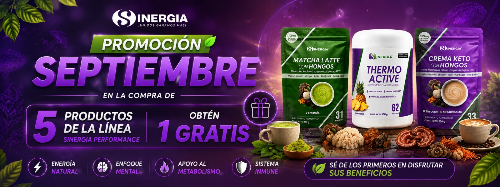 PROMOCIÓN SINERGIA PERFORMANCE