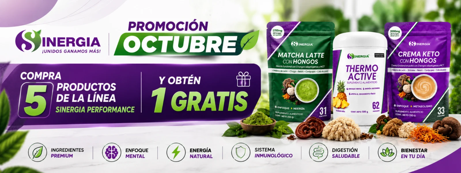 PROMOCIÓN SINERGIA PERFORMANCE